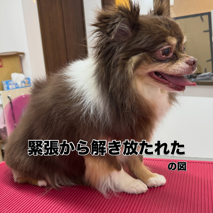 画像3144