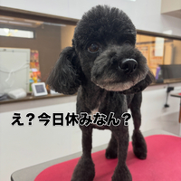 画像3154