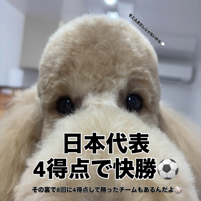 画像3172