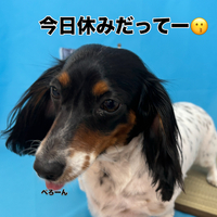 画像3178
