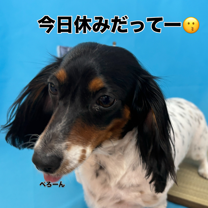 画像3178