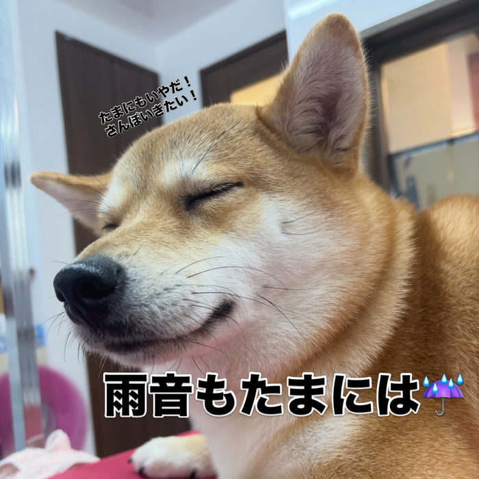 画像3190