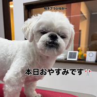 画像3196