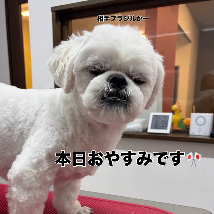 画像3196