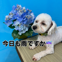 画像3202