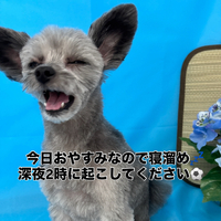 画像3207