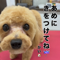 画像3216