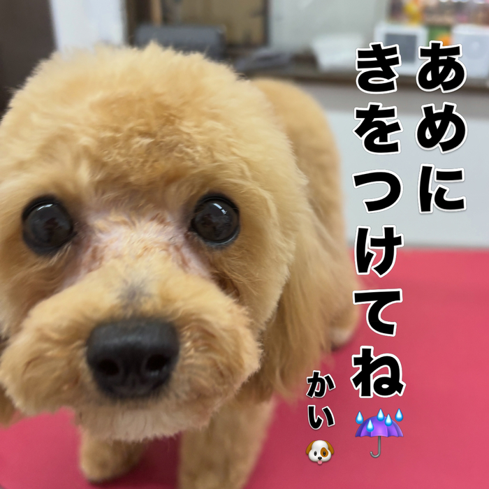画像3216