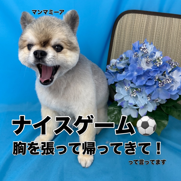 画像3222