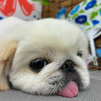 画像323