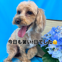 画像3230