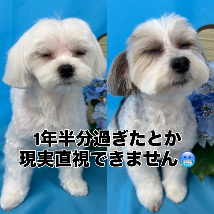 画像3237