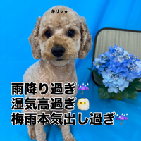 画像3245