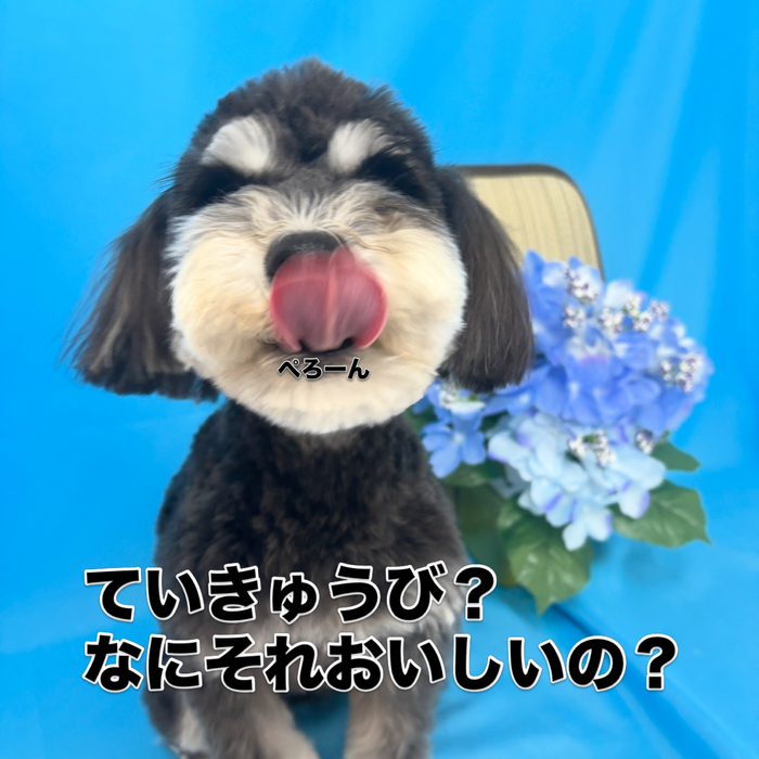画像3250