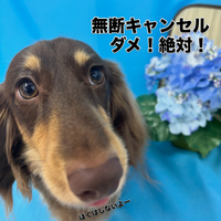 画像3267