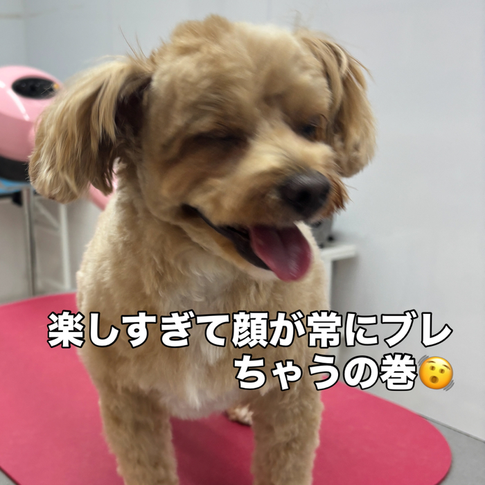 画像3273
