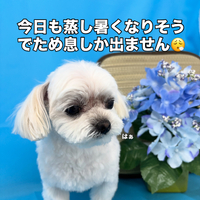 画像3284