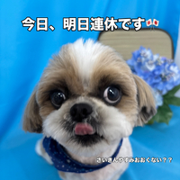 画像3290