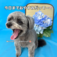 画像3296