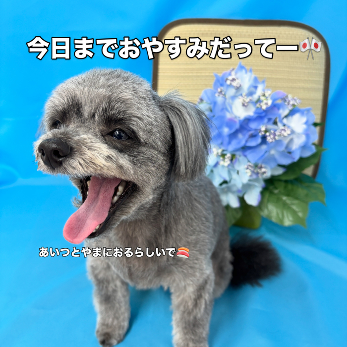 画像3296