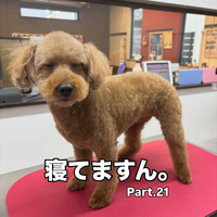 画像3302