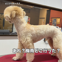 画像3307