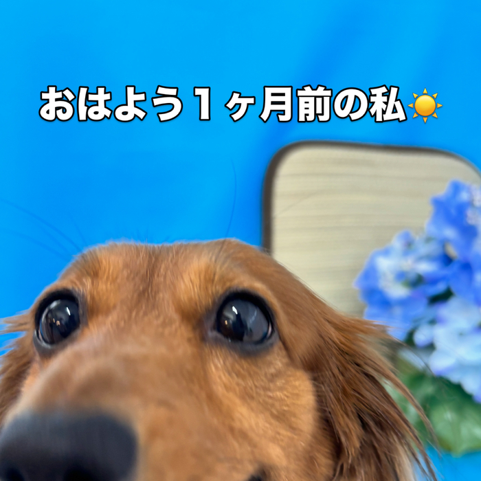 画像3312