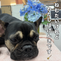 画像3319