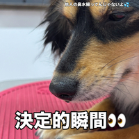 画像3325