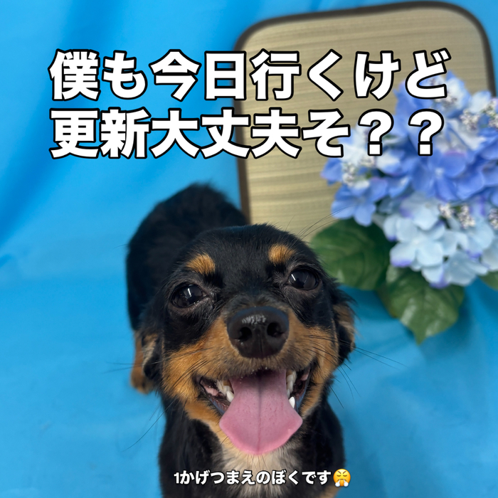 画像3332