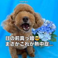 画像3347