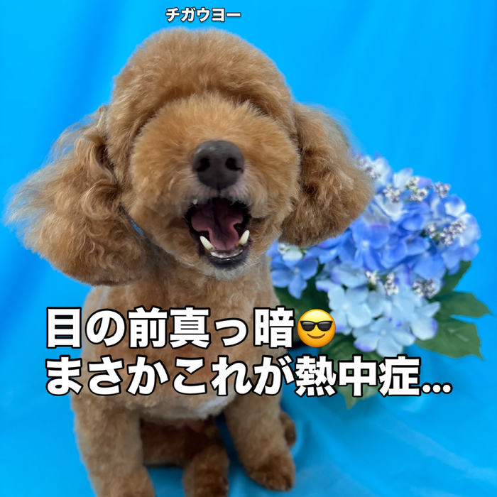 画像3347