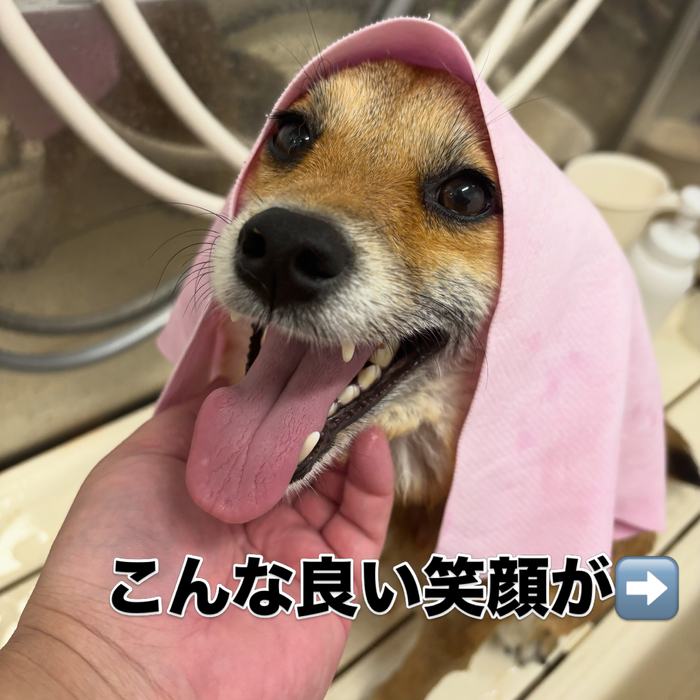 画像3355