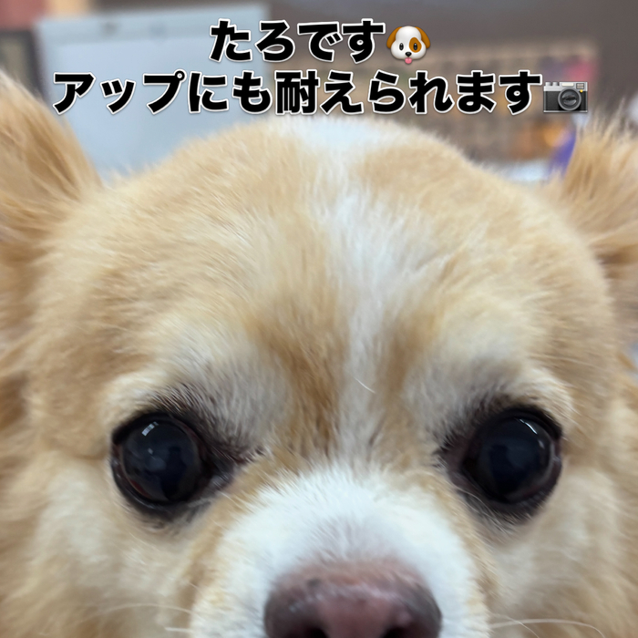 画像3358
