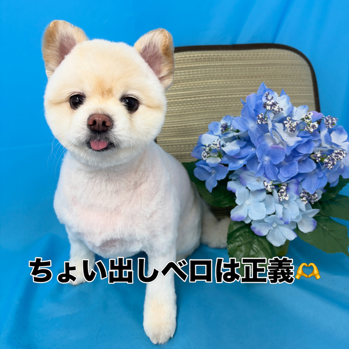 画像3364