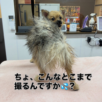 画像3370