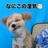 画像3376