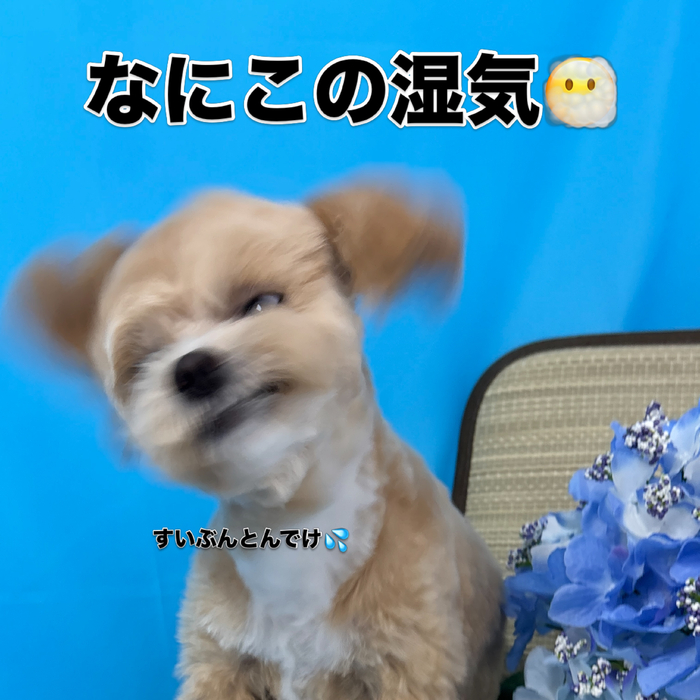 画像3376