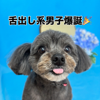 画像3383