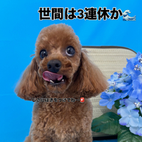 画像3388