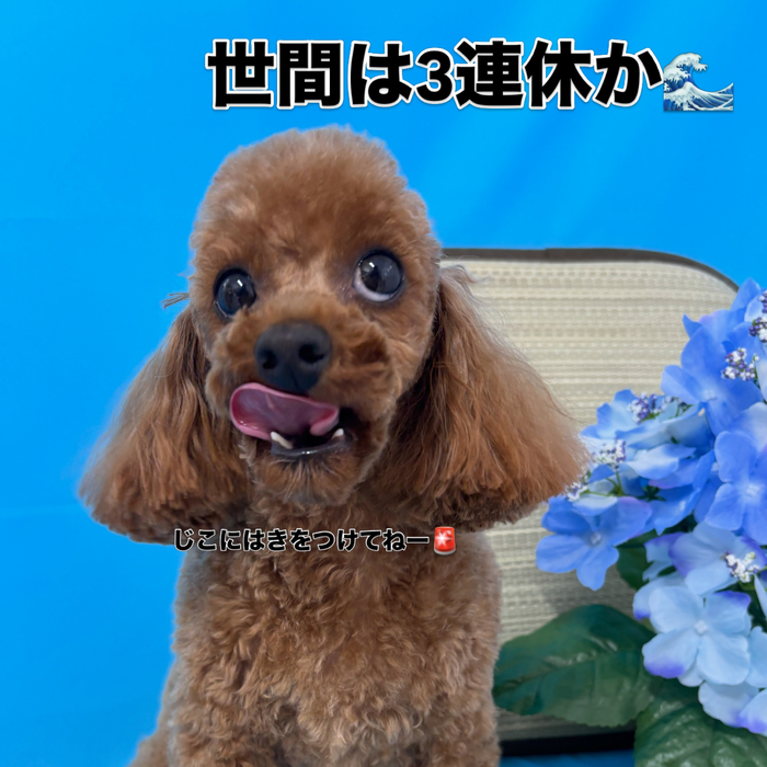 画像3388