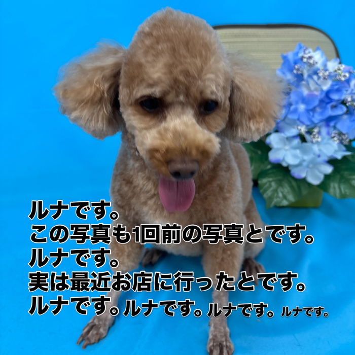 画像3393