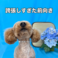 画像3398