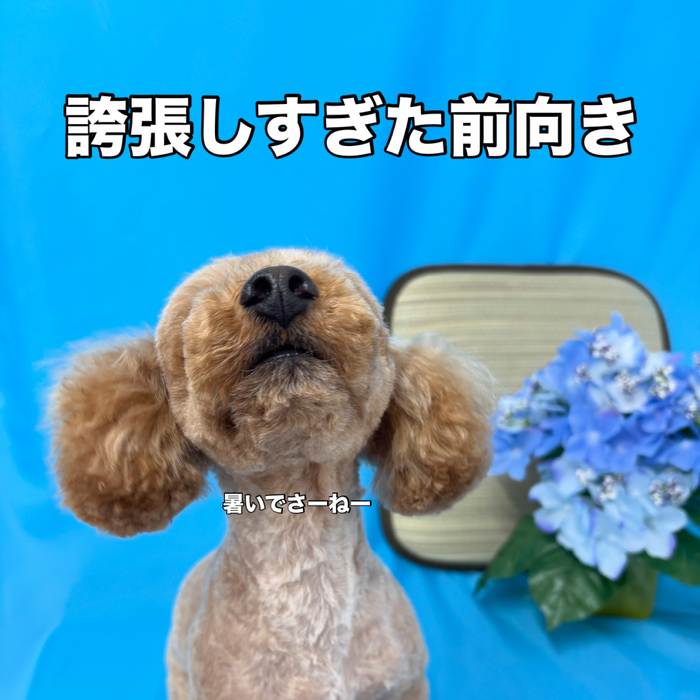 画像3398