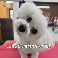 画像3403
