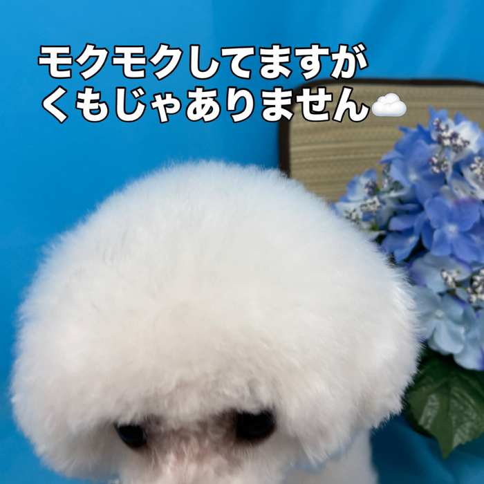 画像3409