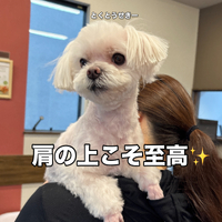 画像3415