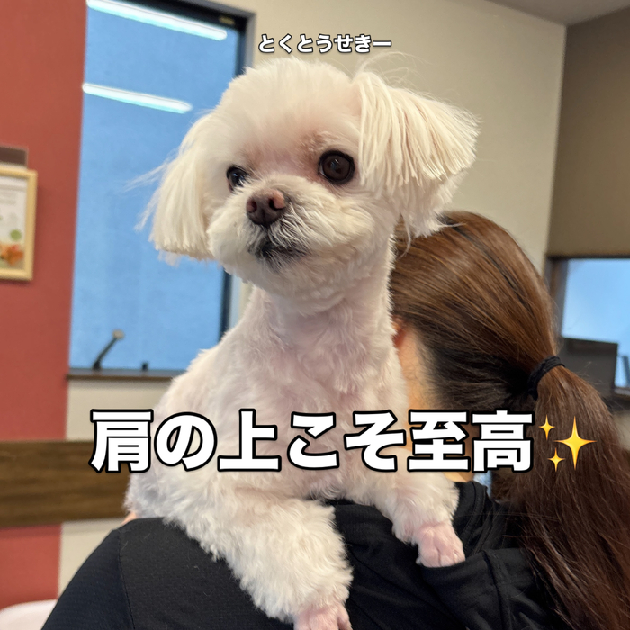 画像3415