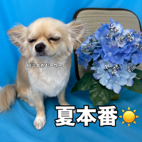 画像3420