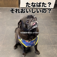 画像3426